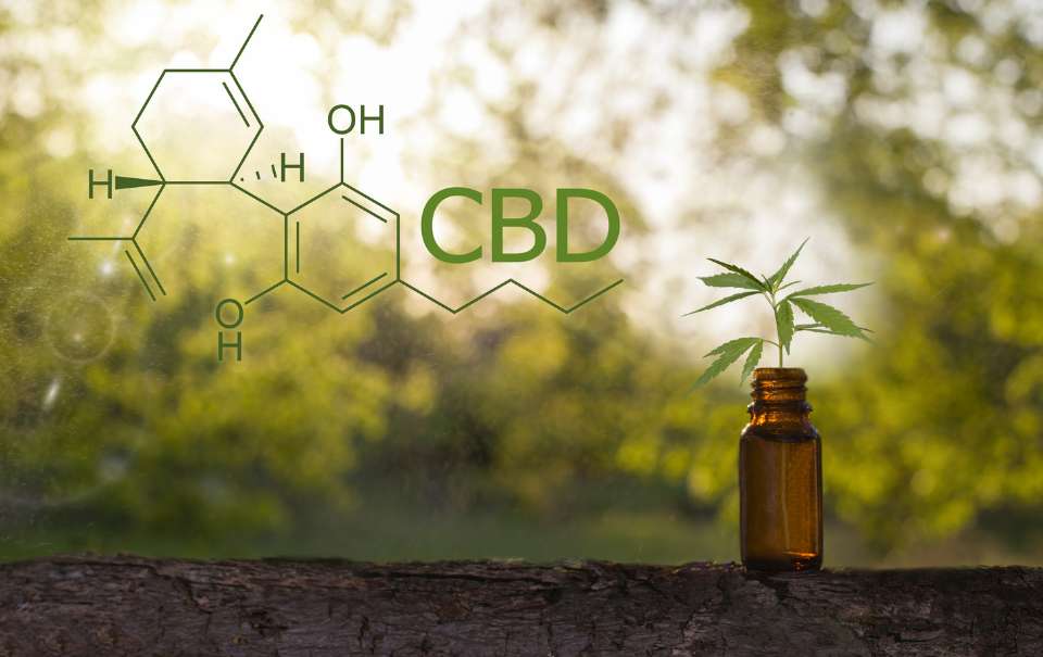 rosacea and cbd